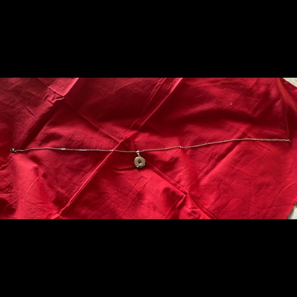 Noosa 18/20mm ginger snap silver plated necklace with stainless steel chain, new - Picture 2 of 2